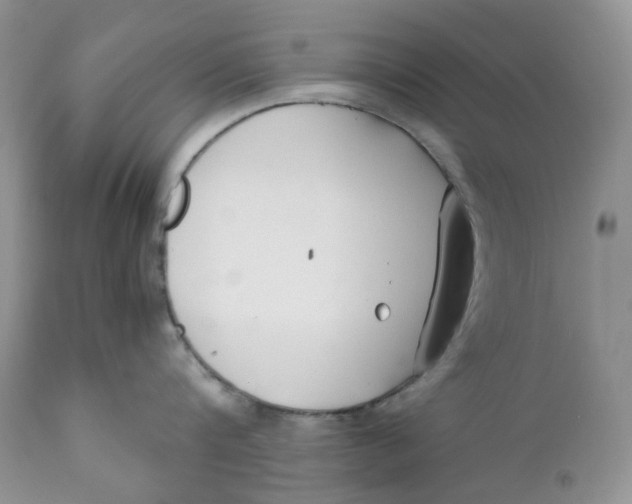 X0000110770816200907061117