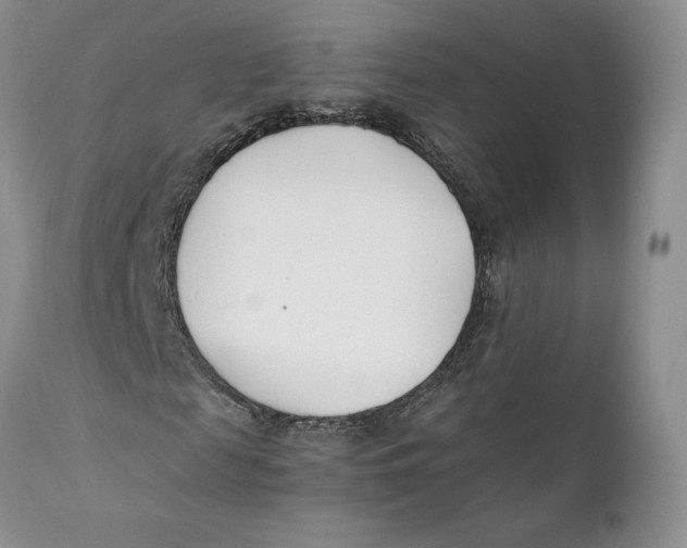 X0000110770817200907061116