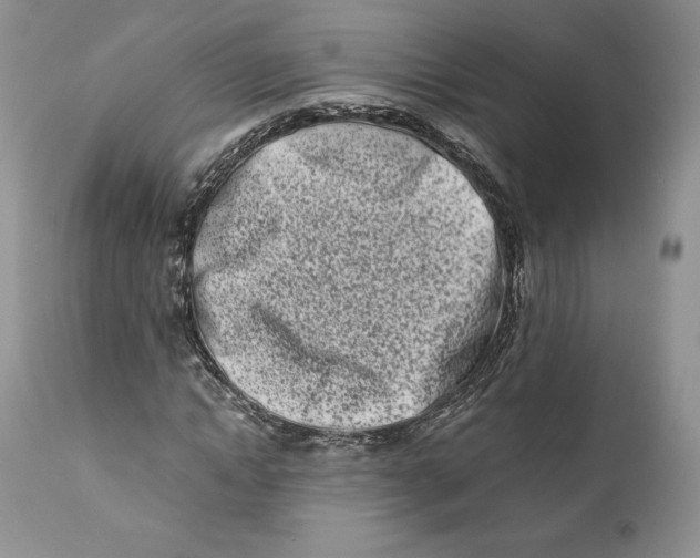 X0000110770822200907061116