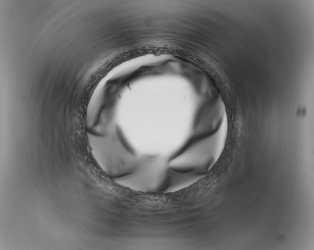 X0000110770823200907061116