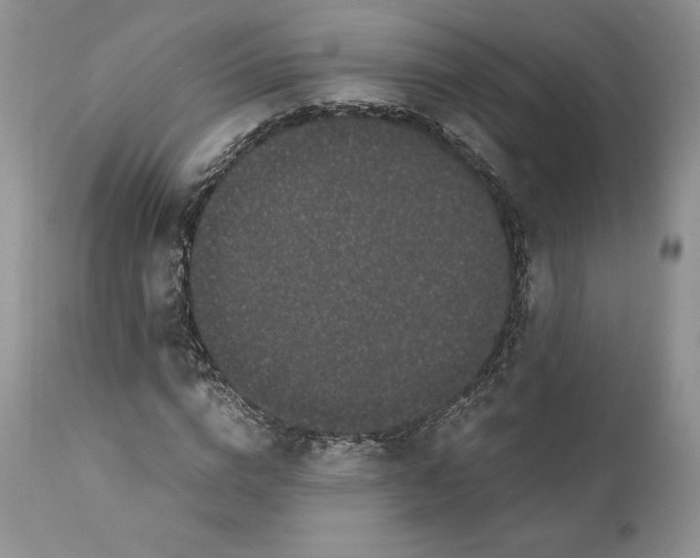 X0000110770824200907061116