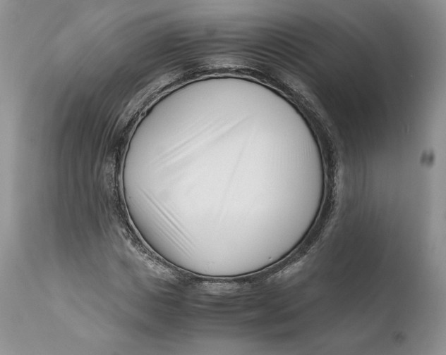 X0000110770825200907061116