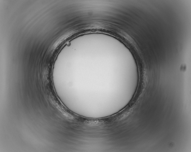 X0000110770826200907061116