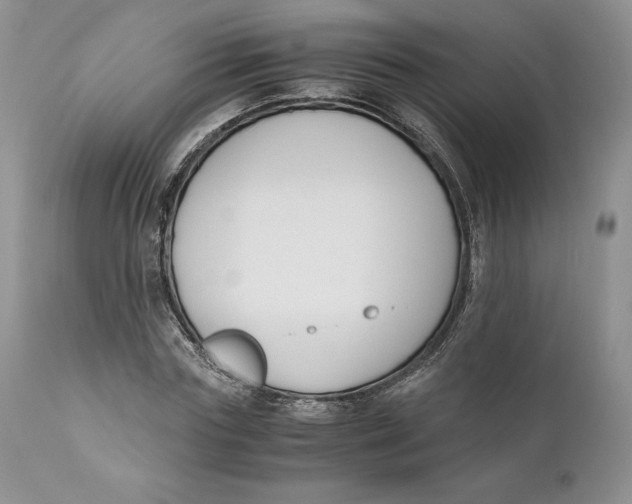 X0000110770827200907061116