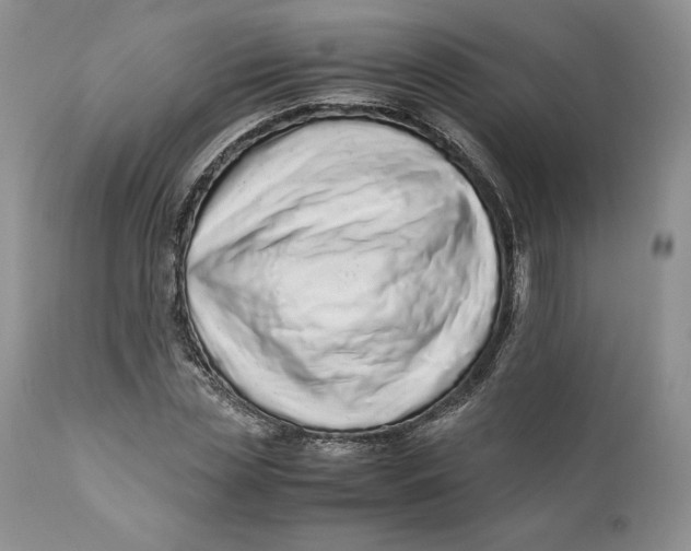 X0000110770829200907061116