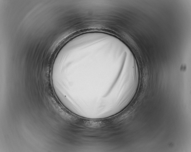 X0000110770831200907061116