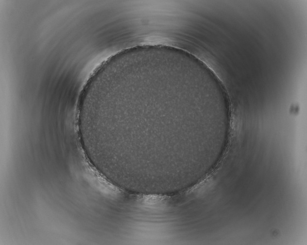 X0000110770832200907061116