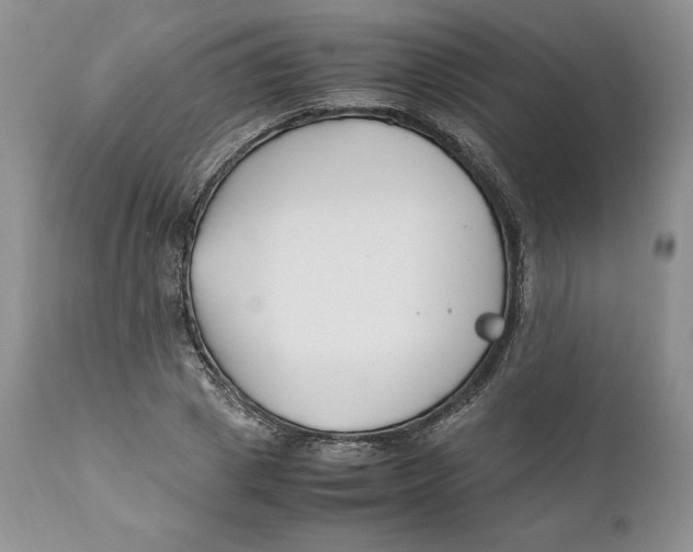 X0000110770833200907061116