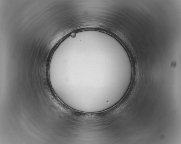 X0000110770834200907061116