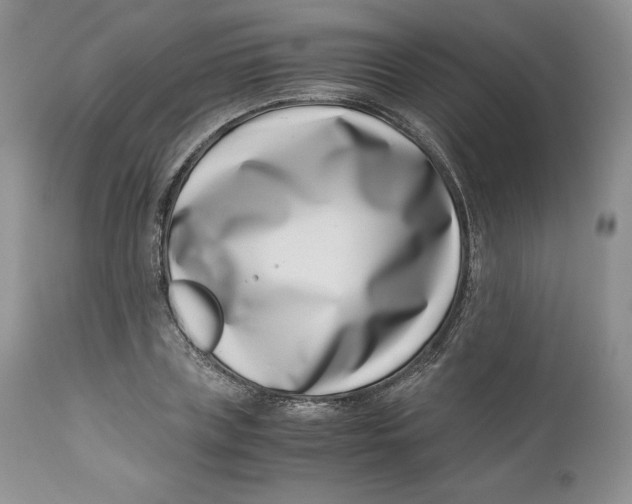 X0000110770835200907061117