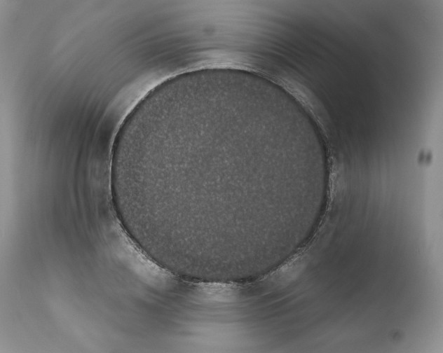 X0000110770836200907061117