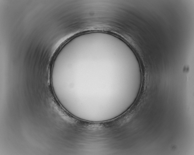 X0000110770838200907061117