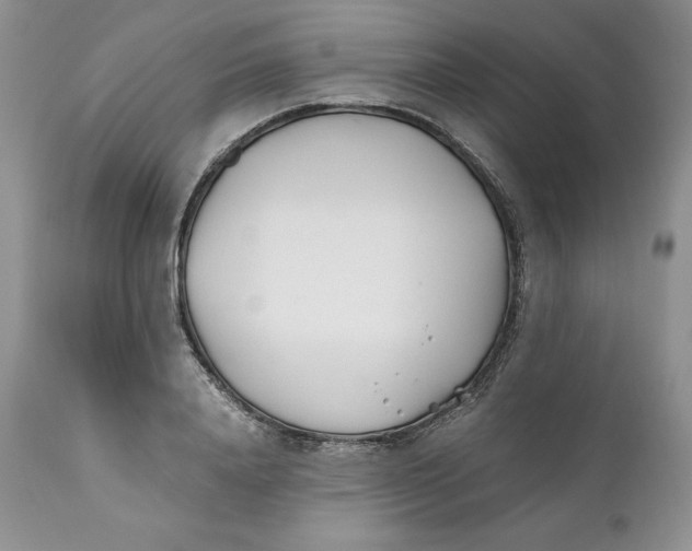 X0000110770840200907061117