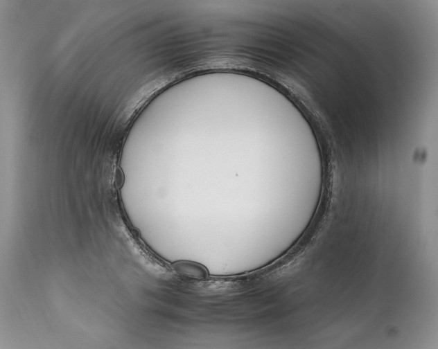 X0000110770841200907061117