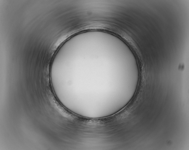 X0000110770842200907061117