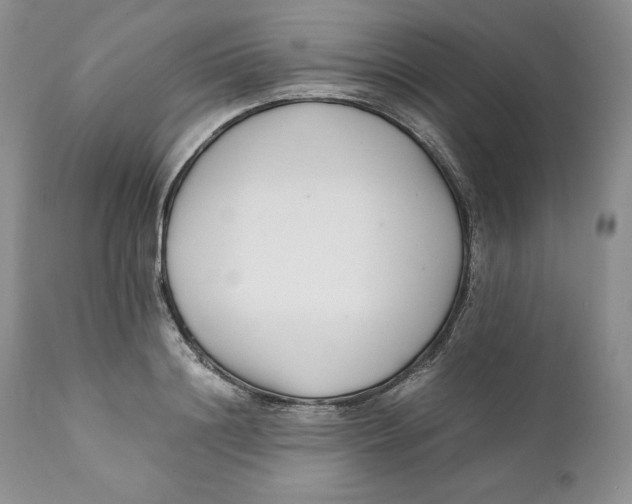 X0000110770844200907061117