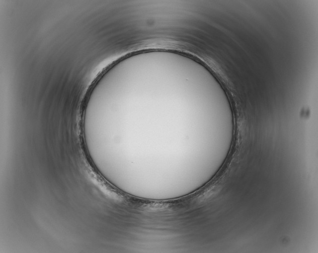 X0000110770846200907061117