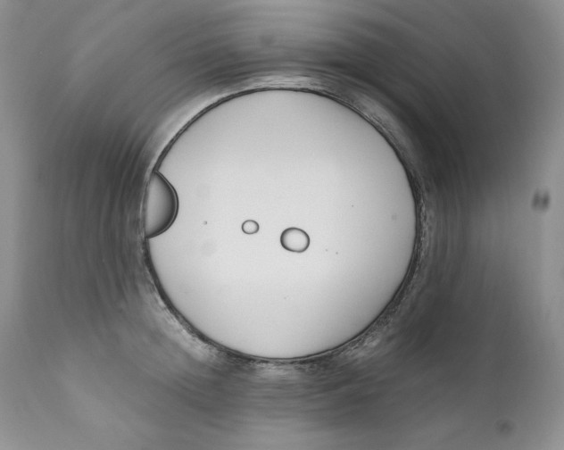 X0000110770852200907061117