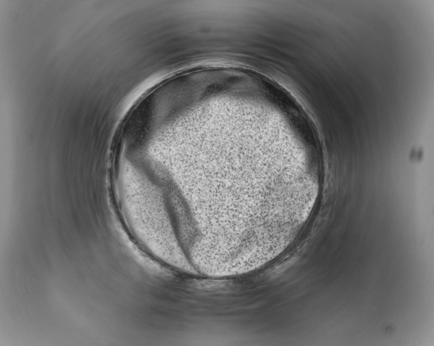 X0000110770853200907061117