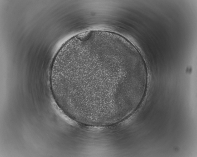 X0000110770854200907061117