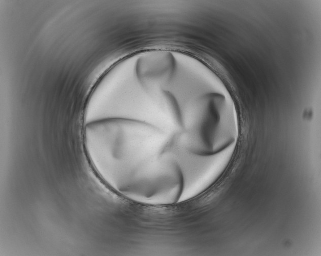 X0000110770855200907061117