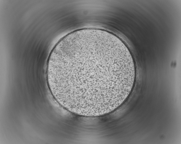 X0000110770856200907061117