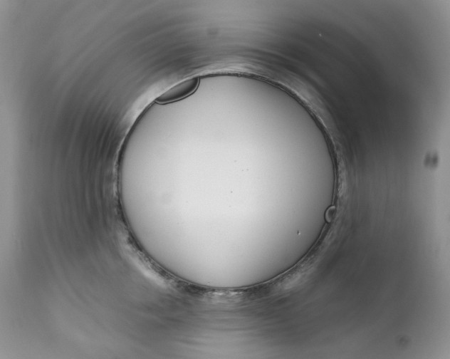 X0000110770858200907061117