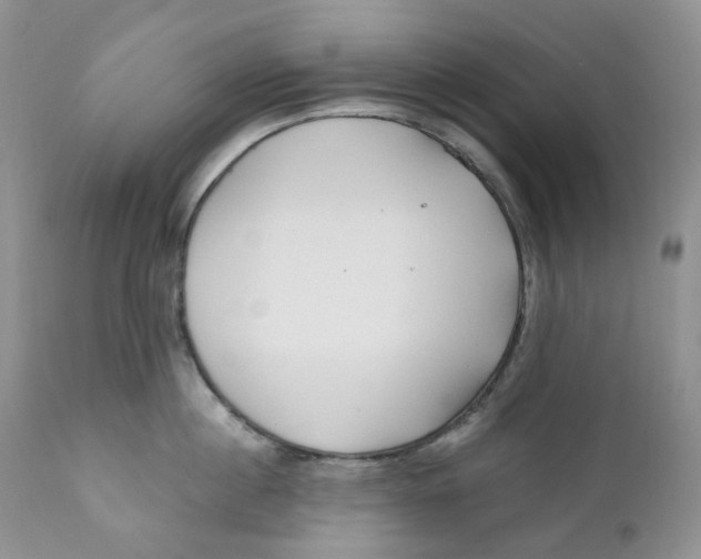 X0000110770860200907061117