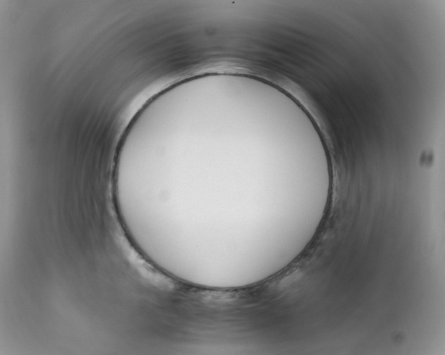 X0000110770861200907061117