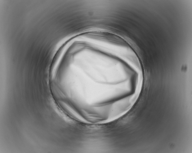 X0000110770862200907061117