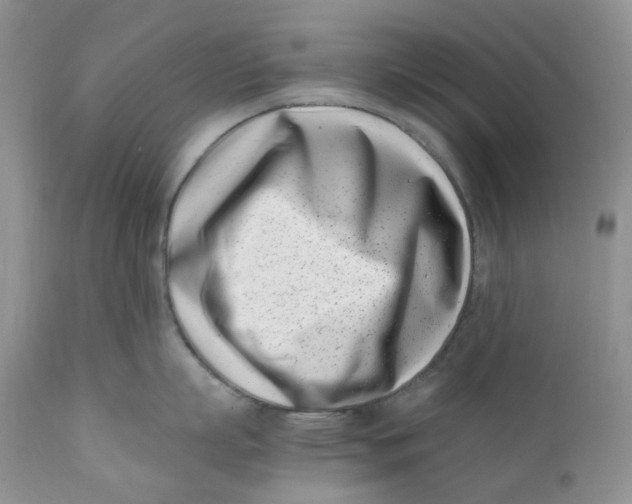 X0000110770863200907061117