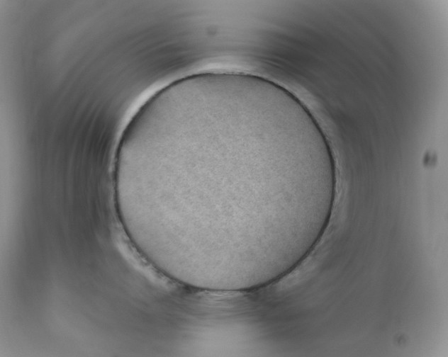 X0000110770864200907061117