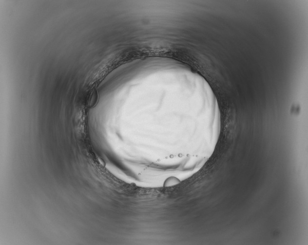 X0000110770866200907061116