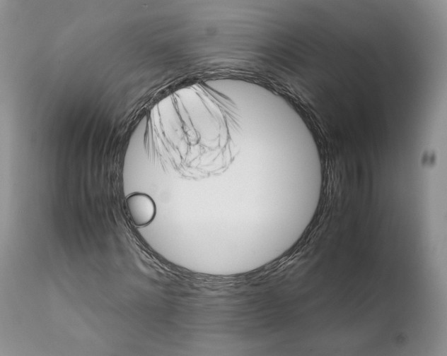 X0000110770868200907061116