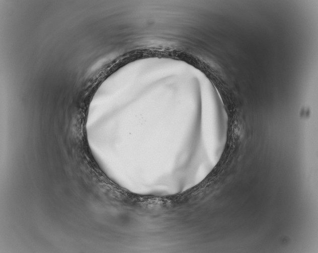 X0000110770869200907061116