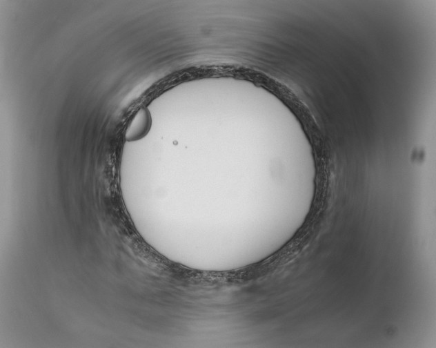 X0000110770871200907061116