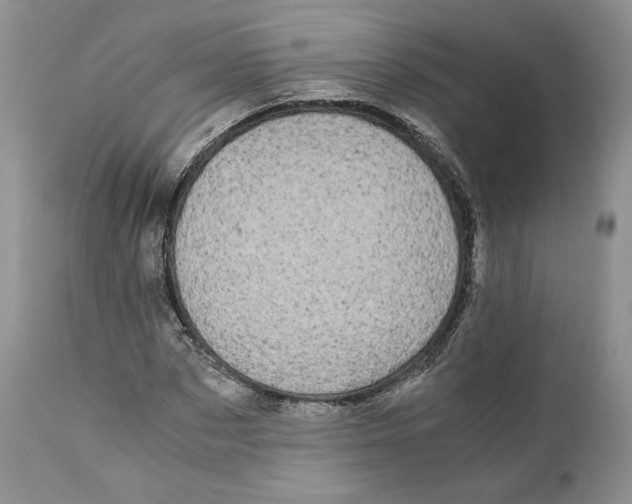 X0000110770873200907061116