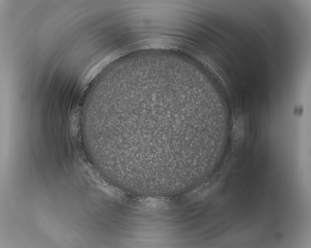 X0000110770874200907061116