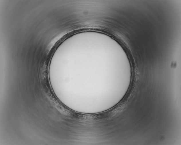 X0000110770875200907061116