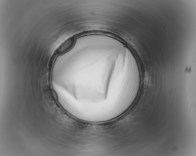 X0000110770877200907061116