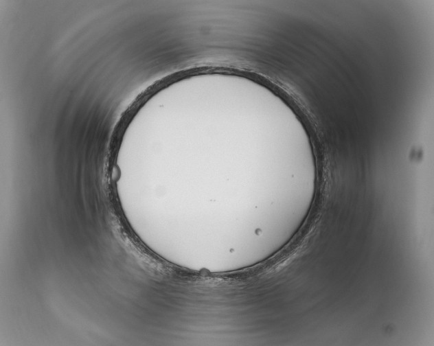 X0000110770880200907061116