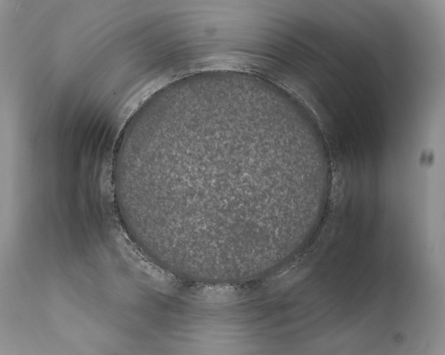 X0000110770882200907061116