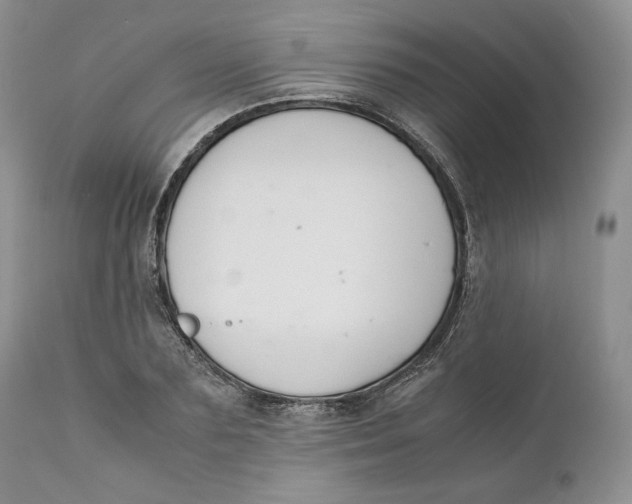 X0000110770883200907061116