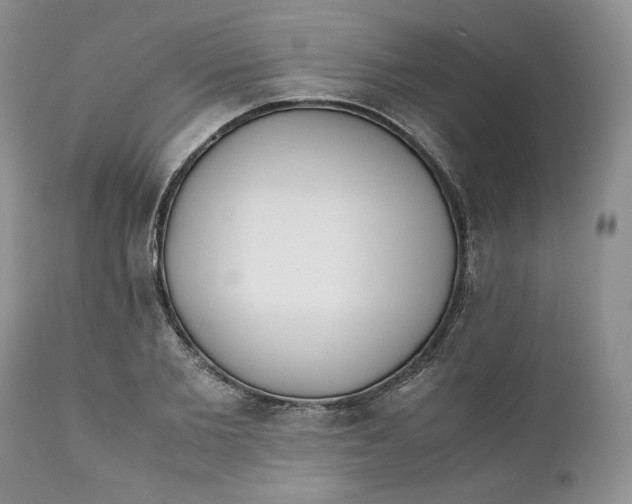 X0000110770885200907061116