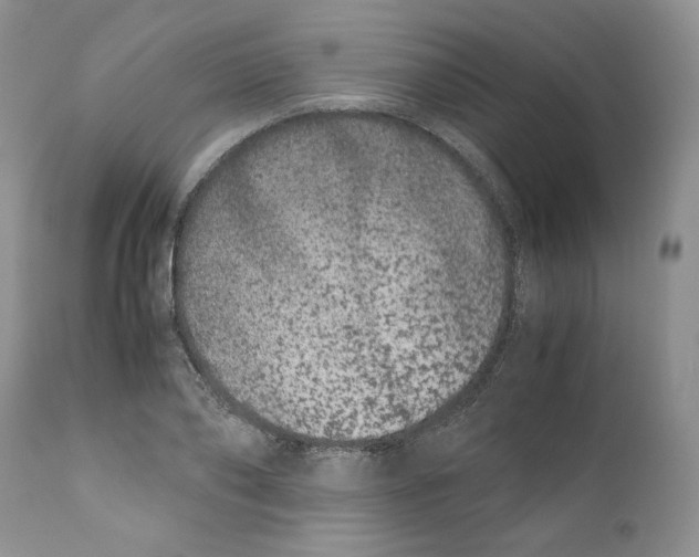 X0000110770886200907061116