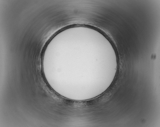 X0000110770887200907061116