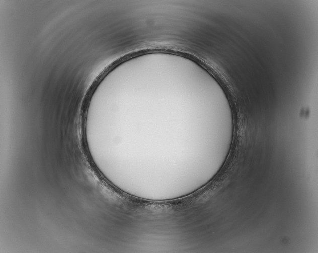 X0000110770888200907061116