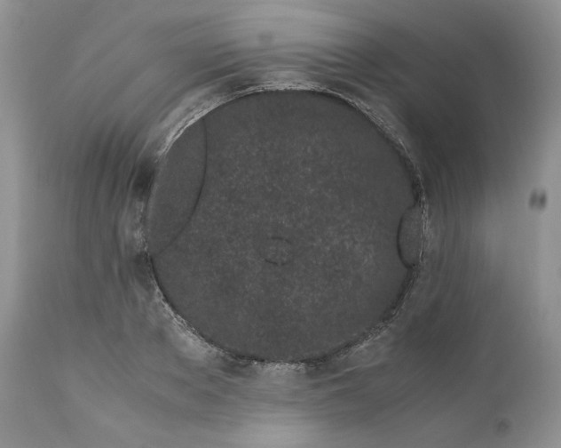 X0000110770889200907061116