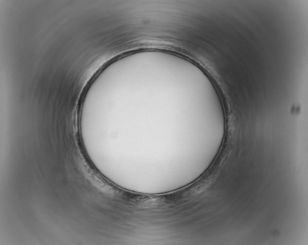 X0000110770891200907061116