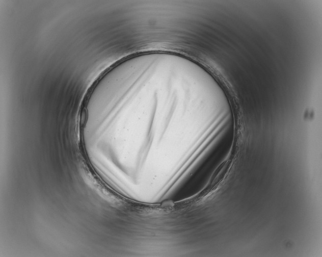 X0000110770892200907061116